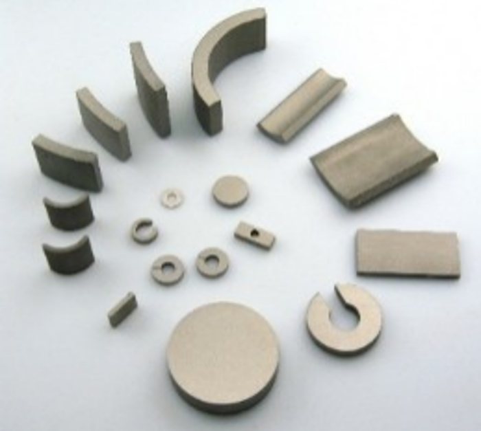 2026.3.12植樹節15