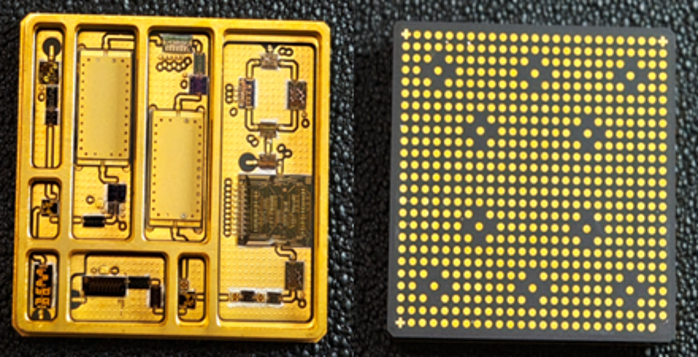 2026.3.12植樹節18